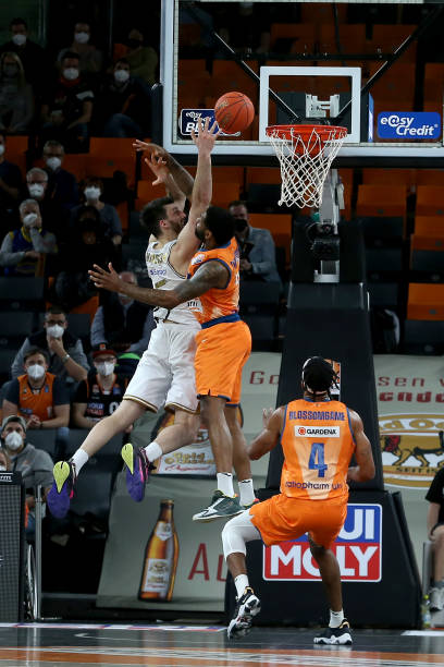 扰导致动物 扰导致动物